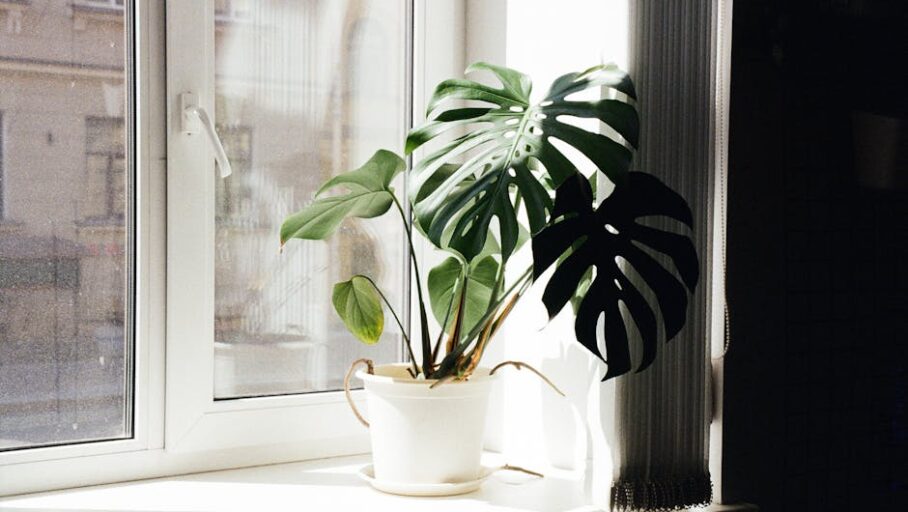 Čistička vzduchu do bytu v paneláku: správný CADR, tichý provoz, umístění a reálný rozpočet